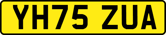YH75ZUA