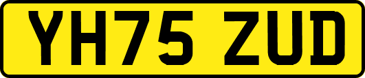 YH75ZUD