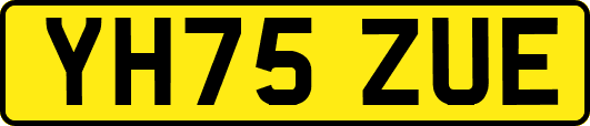 YH75ZUE