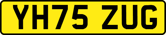 YH75ZUG