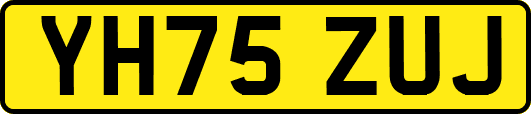 YH75ZUJ