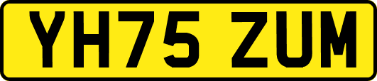 YH75ZUM