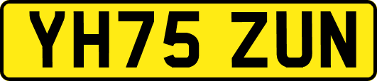 YH75ZUN