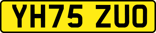 YH75ZUO