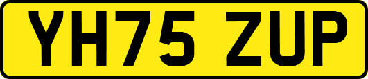 YH75ZUP