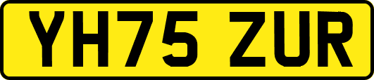 YH75ZUR