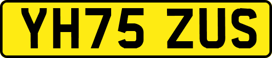 YH75ZUS