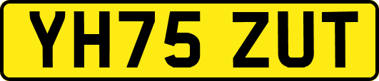YH75ZUT