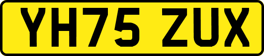 YH75ZUX