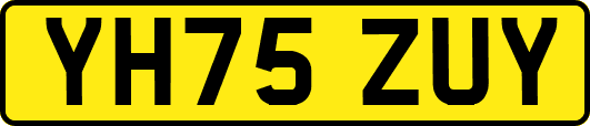 YH75ZUY