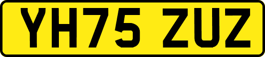 YH75ZUZ