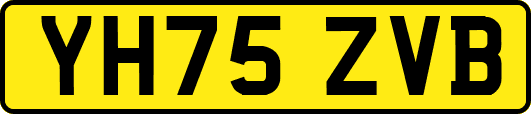 YH75ZVB
