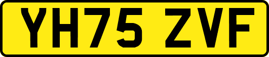 YH75ZVF