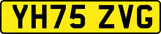 YH75ZVG