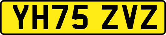 YH75ZVZ