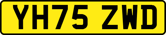 YH75ZWD