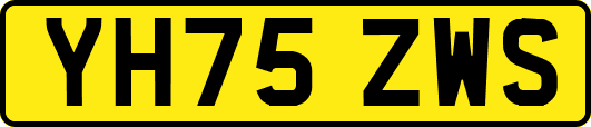 YH75ZWS