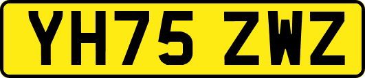 YH75ZWZ