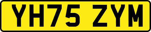 YH75ZYM