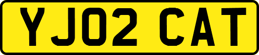 YJ02CAT
