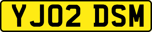 YJ02DSM