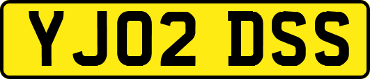 YJ02DSS
