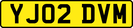 YJ02DVM