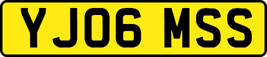 YJ06MSS