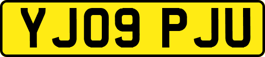YJ09PJU