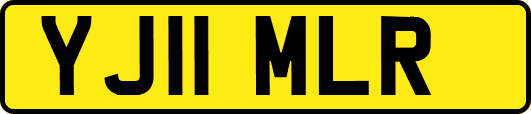 YJ11MLR