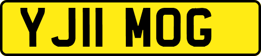 YJ11MOG