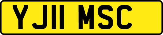 YJ11MSC