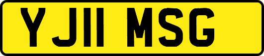 YJ11MSG