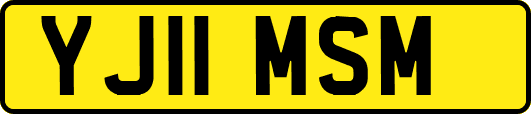 YJ11MSM