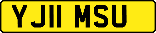 YJ11MSU