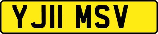 YJ11MSV