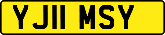 YJ11MSY