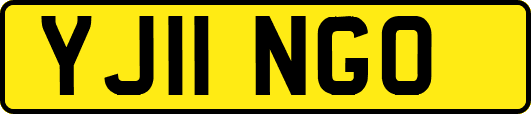 YJ11NGO