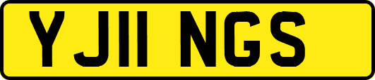 YJ11NGS