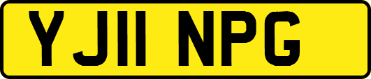 YJ11NPG