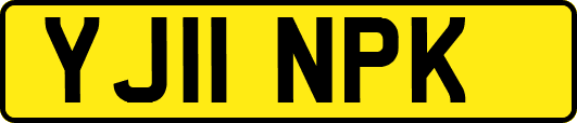 YJ11NPK