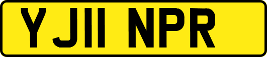 YJ11NPR