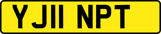 YJ11NPT