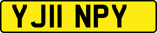 YJ11NPY
