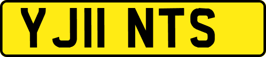 YJ11NTS