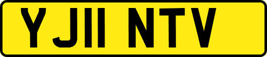 YJ11NTV