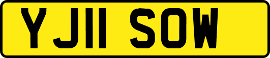 YJ11SOW