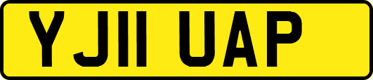 YJ11UAP