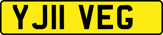 YJ11VEG