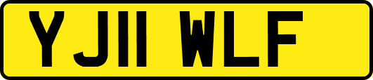 YJ11WLF